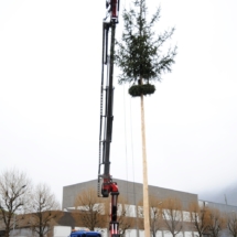 maibaum004