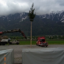 maibaum060